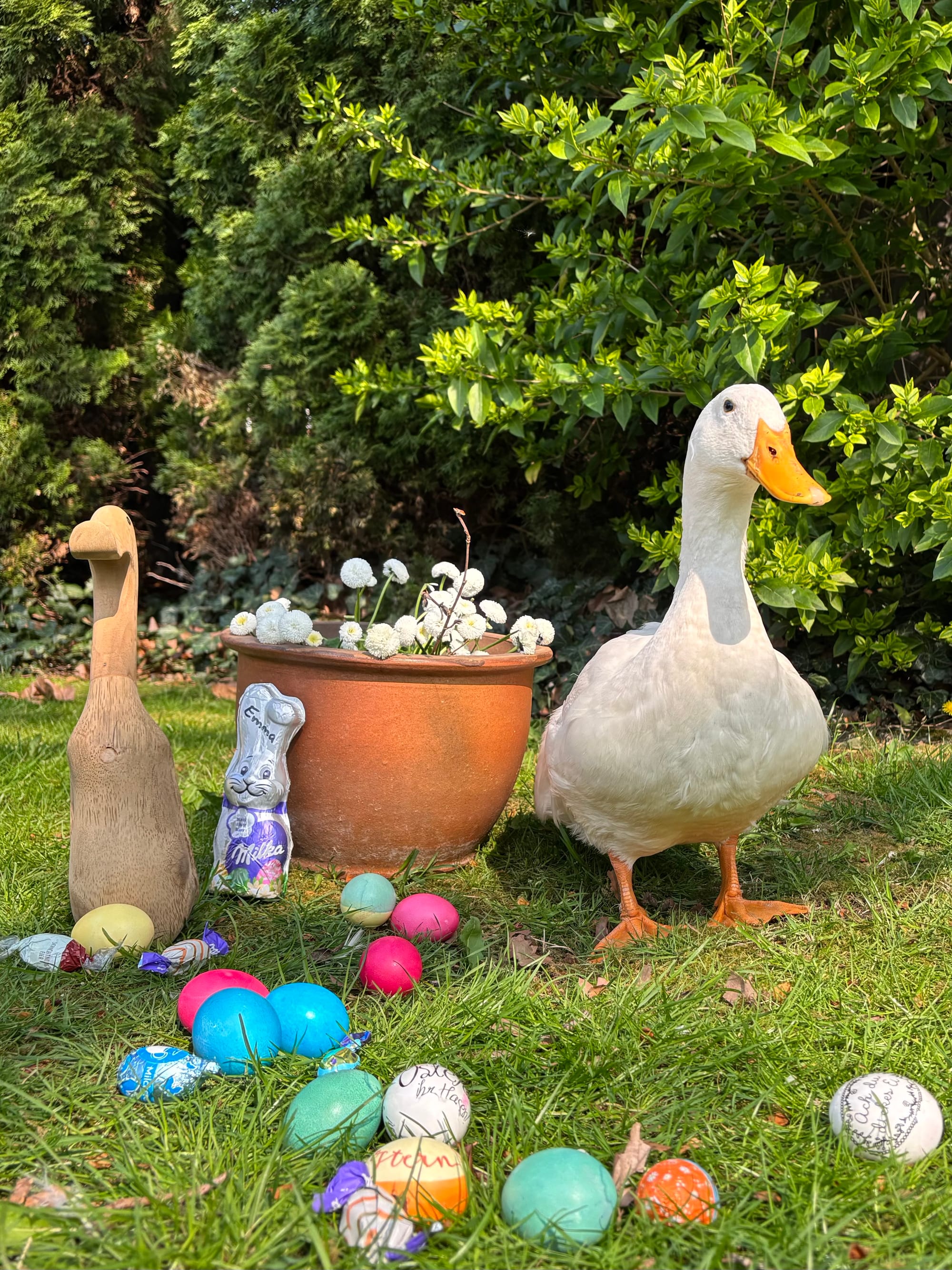 12. Hilde will fliegen – und wir? Ein (verspäteter) Osterblog mit Ente